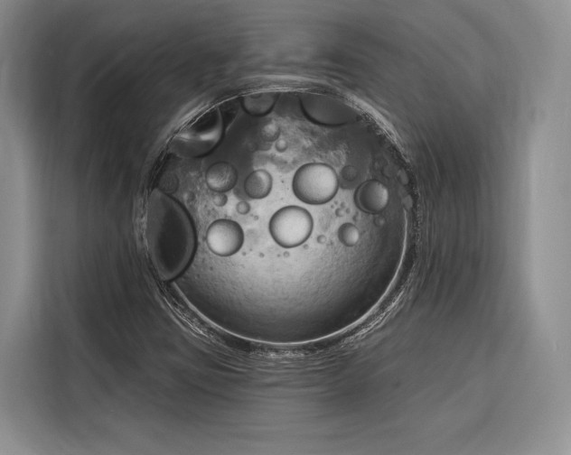 X0000116851403200912221109