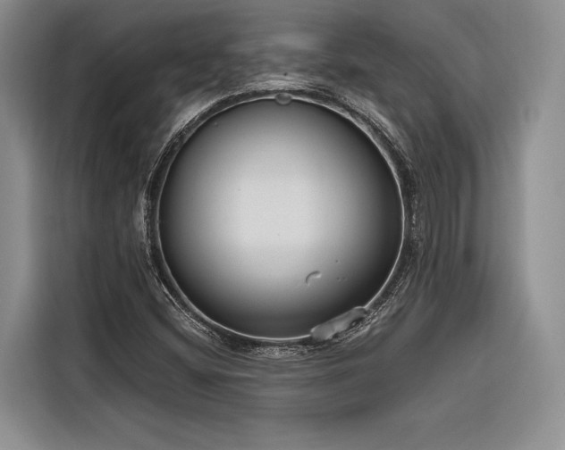 X0000116851404200912221109