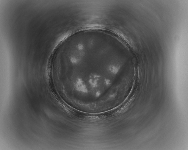 X0000116851405200912221110
