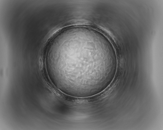 X0000116851407200912221110