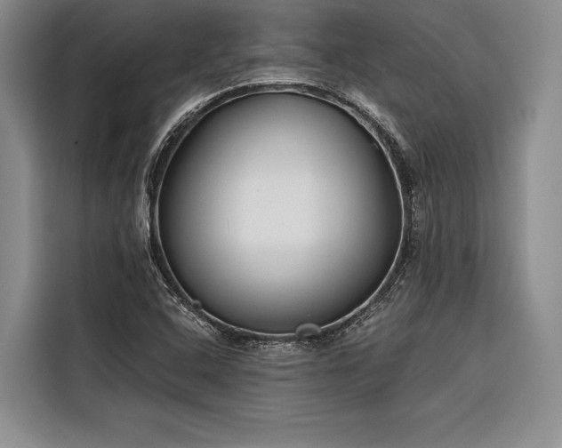 X0000116851408200912221110