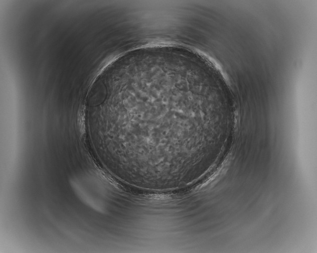 X0000116851409200912221110