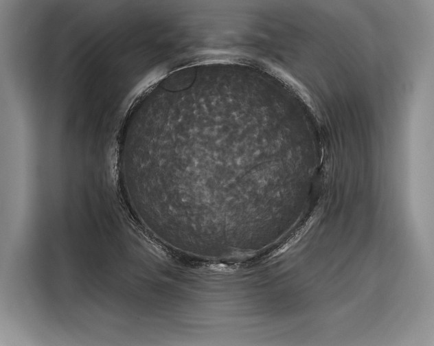X0000116851411200912221110