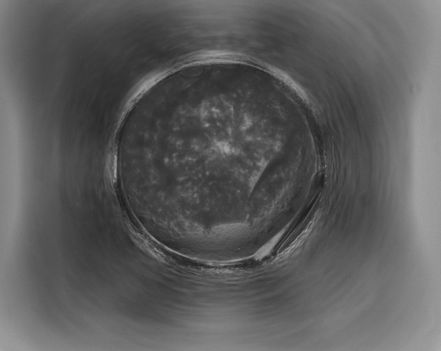 X0000116851413200912221110