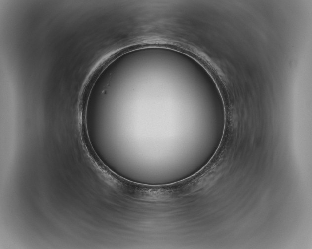X0000116851416200912221110
