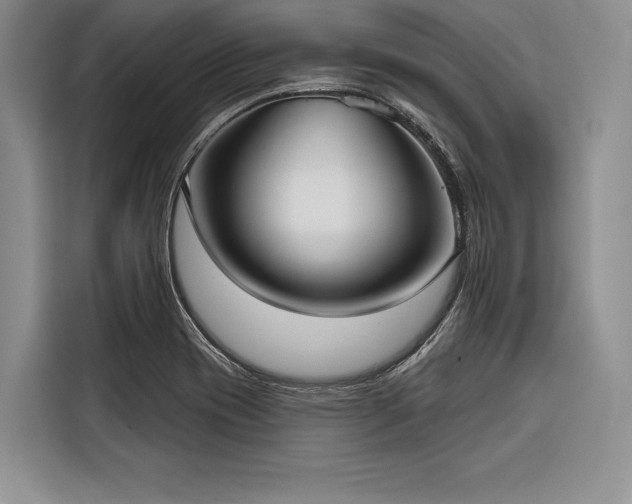 X0000116851417200912221110