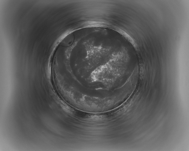 X0000116851419200912221110