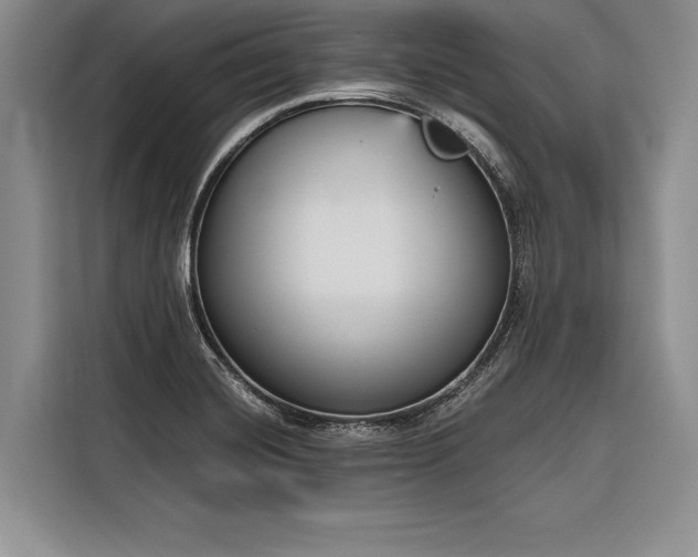 X0000116851420200912221110