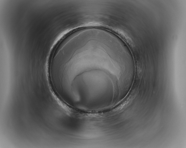 X0000116851422200912221110