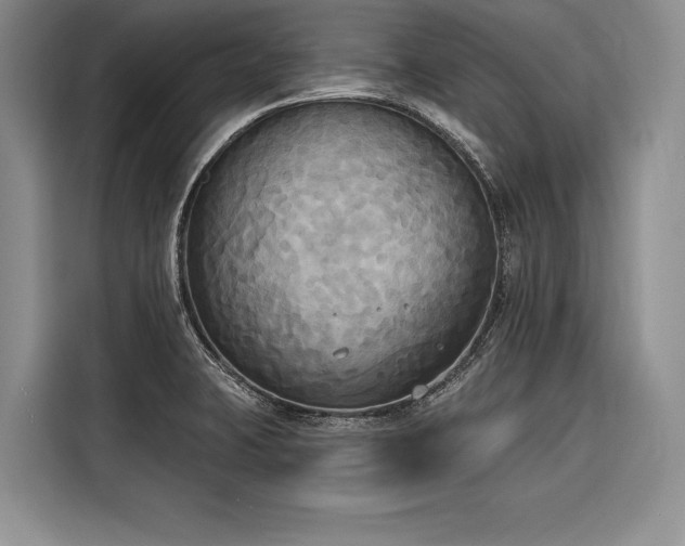 X0000116851423200912221110