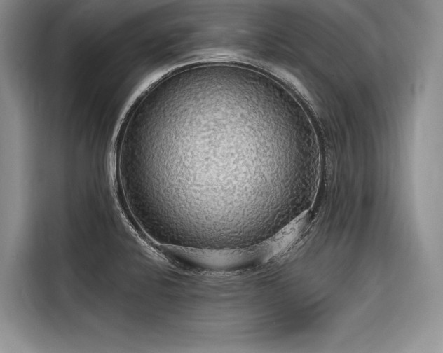 X0000116851424200912221110