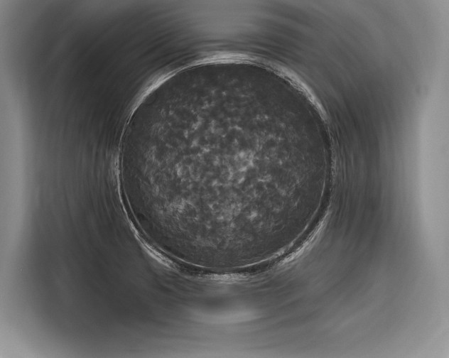 X0000116851425200912221110