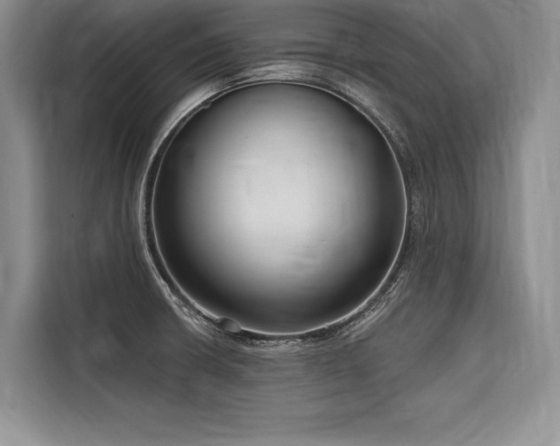 X0000116851426200912221110
