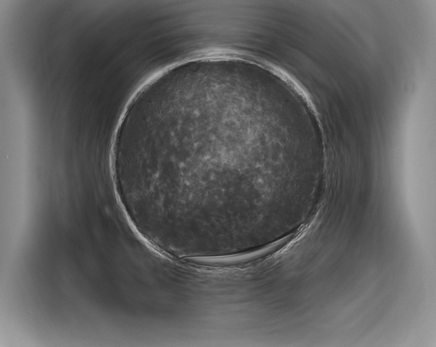 X0000116851429200912221110