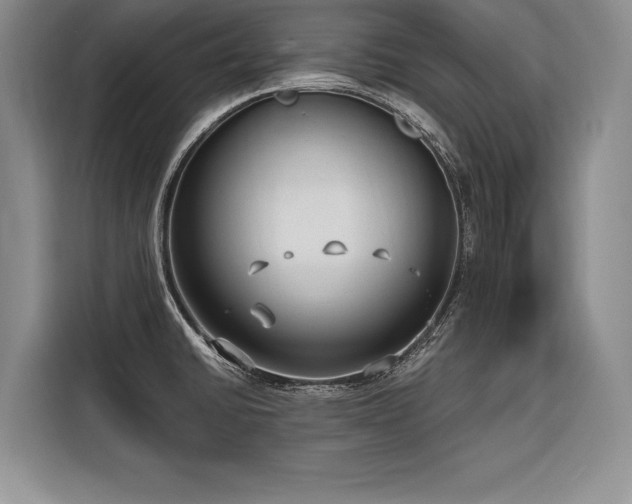 X0000116851430200912221110