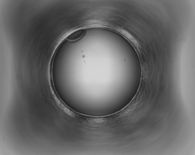X0000116851431200912221110