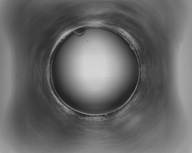 X0000116851432200912221110