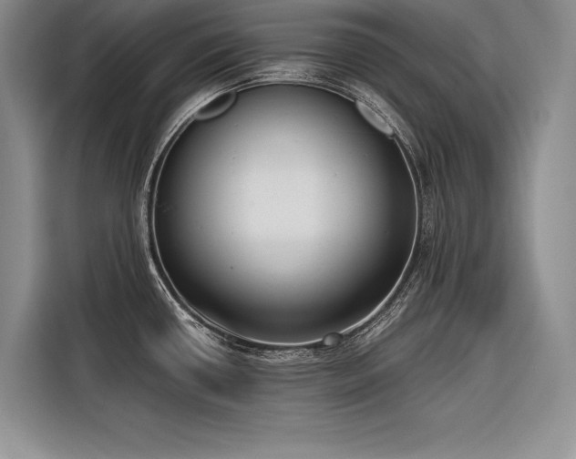 X0000116851434200912221110