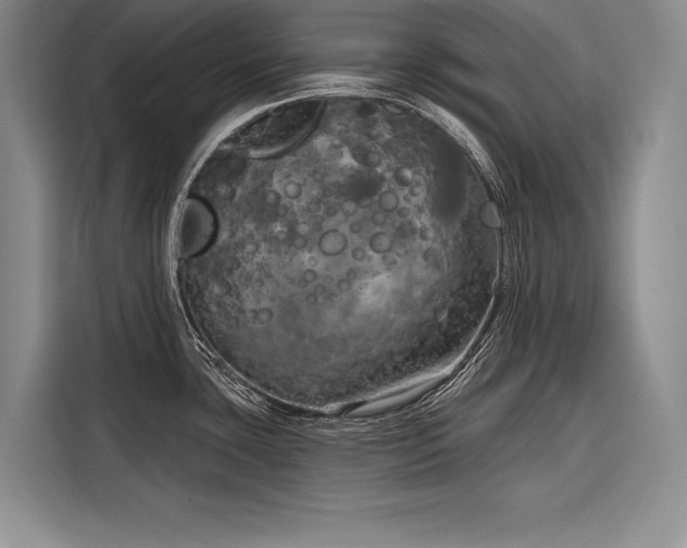X0000116851435200912221110