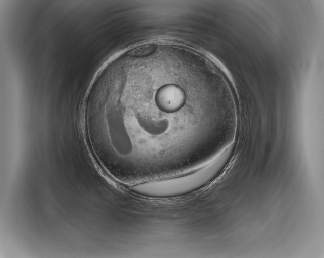 X0000116851437200912221110
