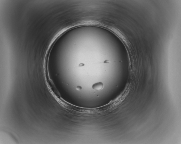 X0000116851438200912221110