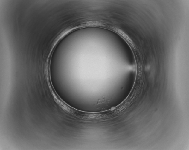 X0000116851439200912221110