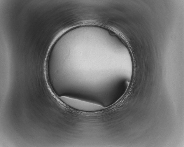 X0000116851440200912221110