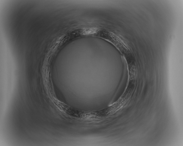 X0000116851441200912221109