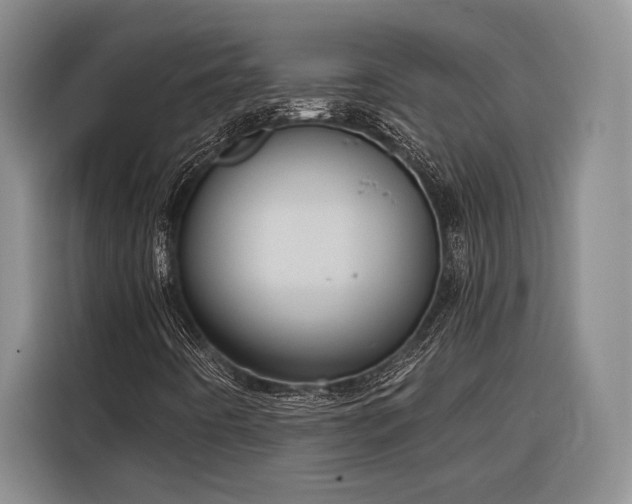X0000116851442200912221109