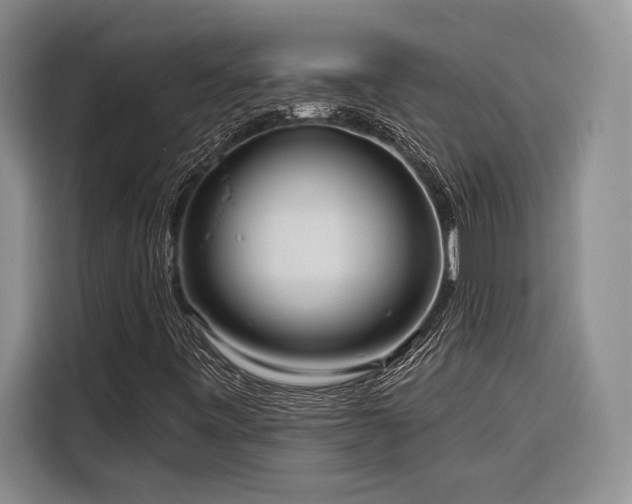 X0000116851443200912221109