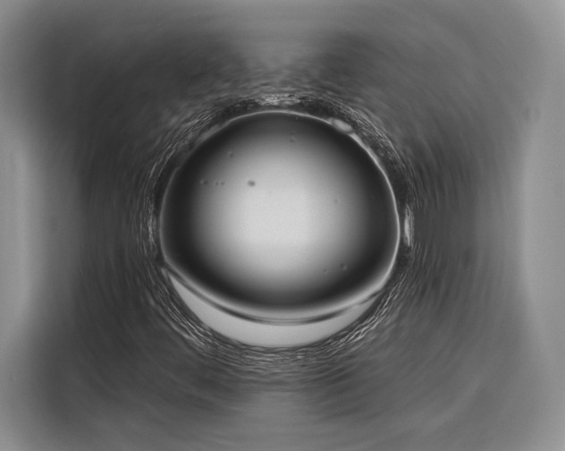 X0000116851444200912221109