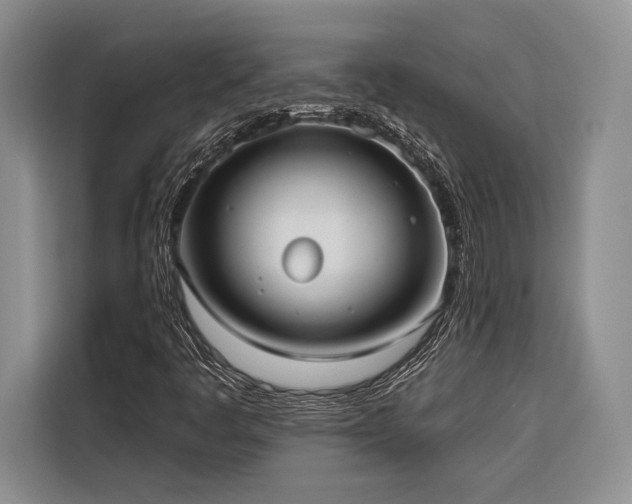 X0000116851445200912221109