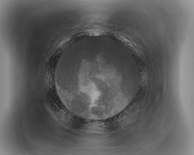 X0000116851446200912221109