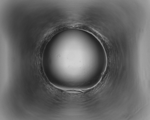 X0000116851447200912221109