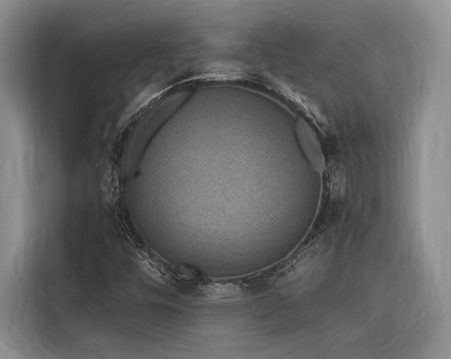 X0000116851448200912221109