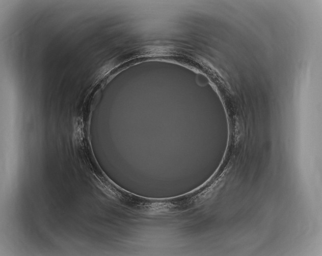 X0000116851449200912221109
