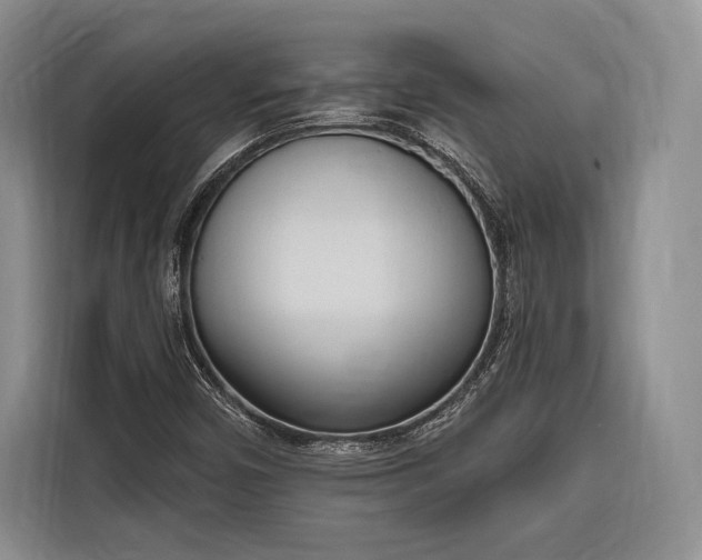 X0000116851450200912221109