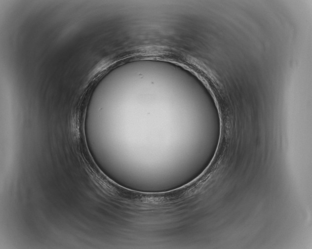 X0000116851451200912221109