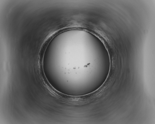X0000116851452200912221109