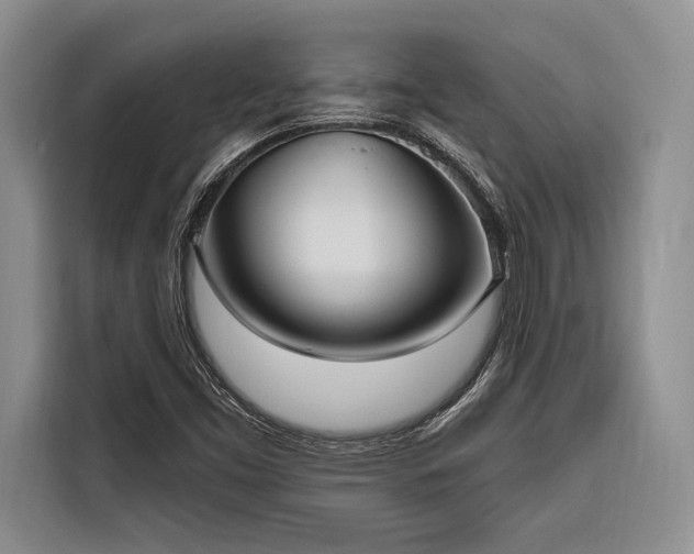 X0000116851453200912221109