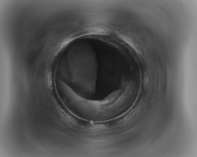 X0000116851455200912221109
