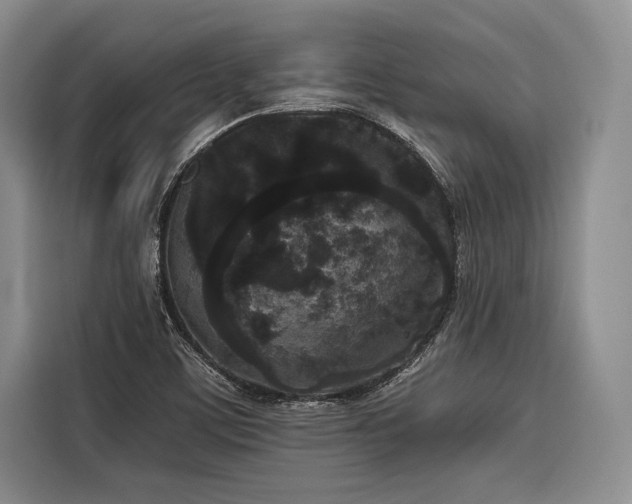 X0000116851459200912221109