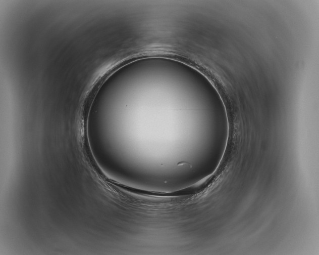X0000116851461200912221109