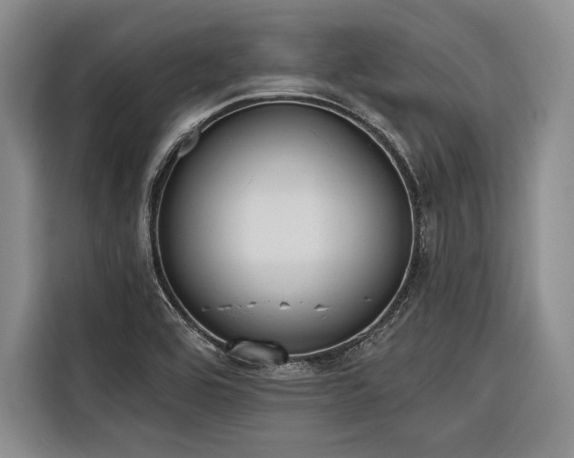X0000116851464200912221109