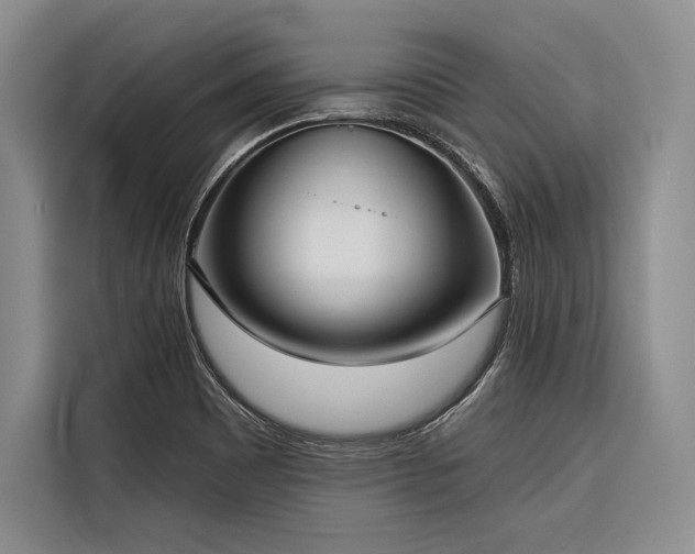 X0000116851465200912221109