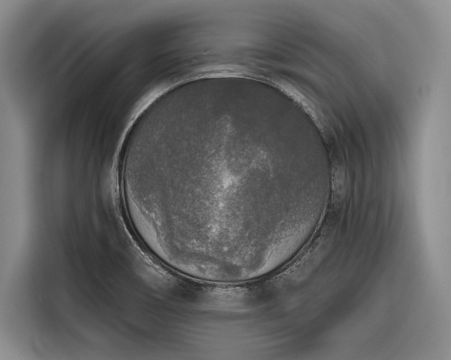 X0000116851466200912221109