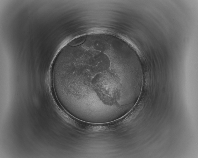 X0000116851467200912221109