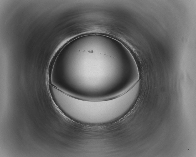 X0000116851468200912221109