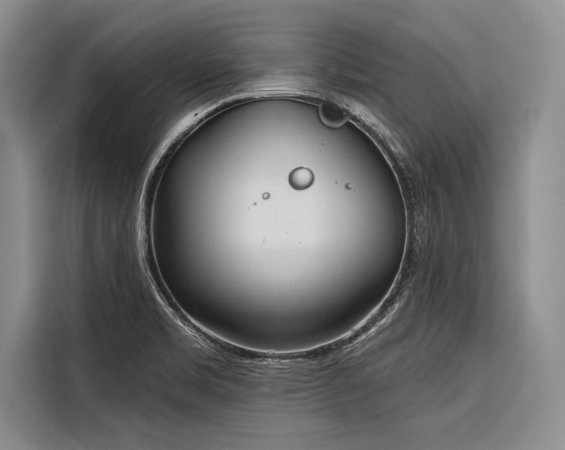 X0000116851469200912221109