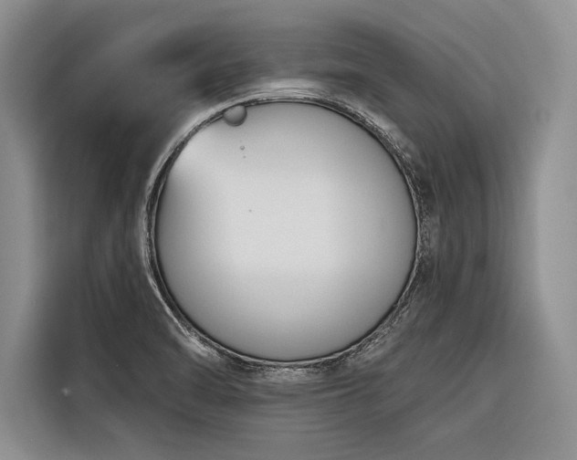 X0000116851470200912221109